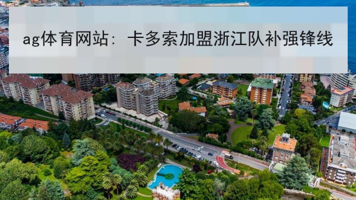ag体育网站: 卡多索加盟浙江队补强锋线
