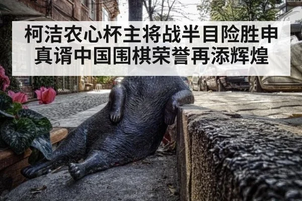 柯洁农心杯主将战半目险胜申真谞中国围棋荣誉再添辉煌
